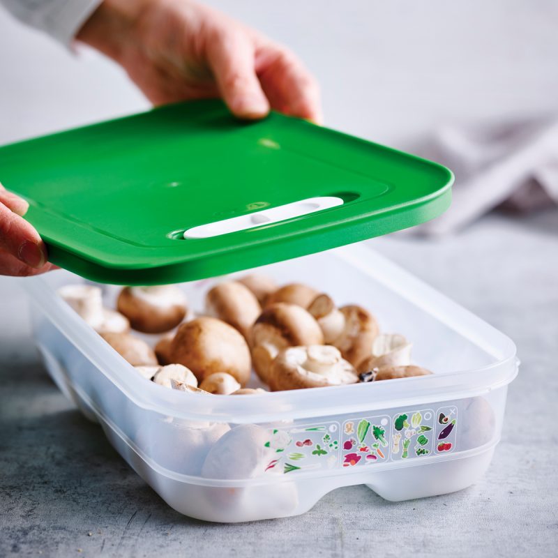 Set Cutii Legume, Fructe VentSmart plate 1,8 L (2 buc.) - imagine 2
